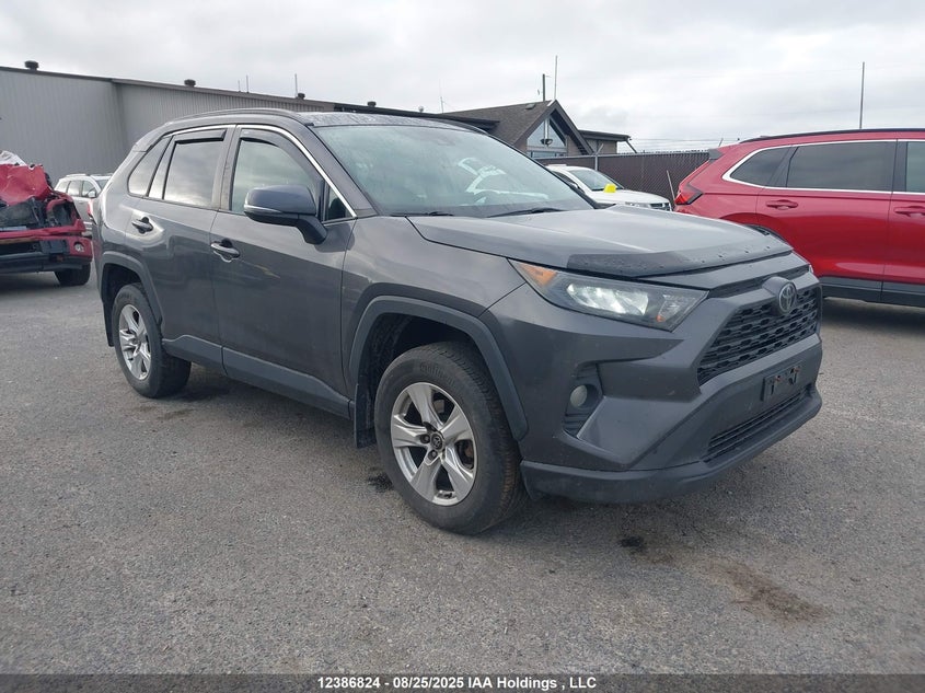 2T3B1RFV0KW002942 2019 Toyota Rav4 Le auction photo 1