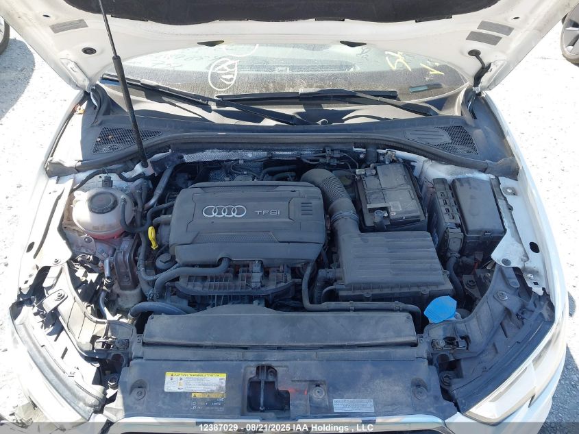 2019 Audi A3 VIN: WAUBEGFF3K1017884 Lot: 12387029