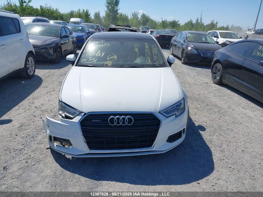 2019 Audi A3 VIN: WAUBEGFF3K1017884 Lot: 12387029