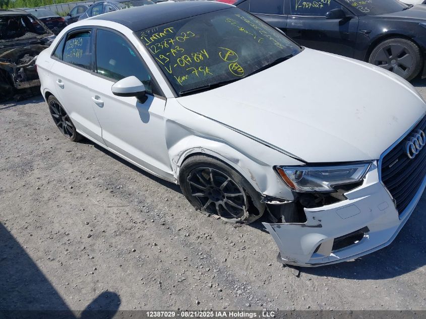 2019 Audi A3 VIN: WAUBEGFF3K1017884 Lot: 12387029