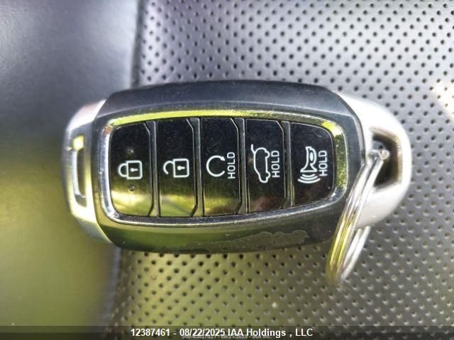 2022 Hyundai Palisade Limited VIN: KM8R5DHEXNU375227 Lot: 12387461