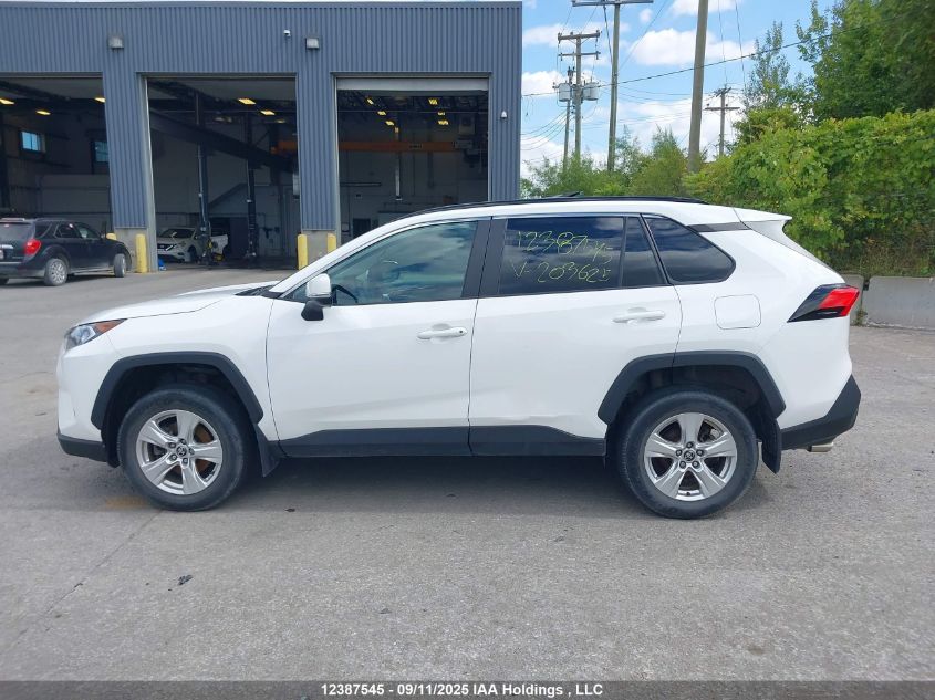 2021 Toyota Rav4 Xle/Xle Premium VIN: 2T3R1RFV3MC203625 Lot: 12387545