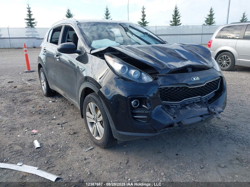 KNDPMCAC0H7082098 2017 Kia Sportage Lx auction photo 1