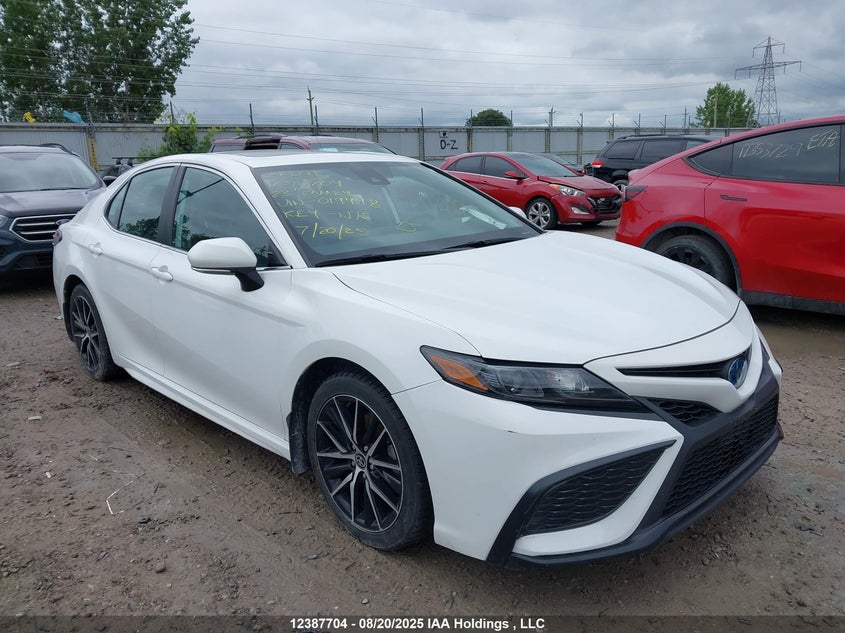 4T1B21HK9PU019448 2023 Toyota Camry Xle/Se auction photo 1