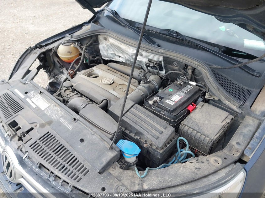 WVGBV7AX5BW526439 2011 VOLKSWAGEN TIGUAN photo no. 10