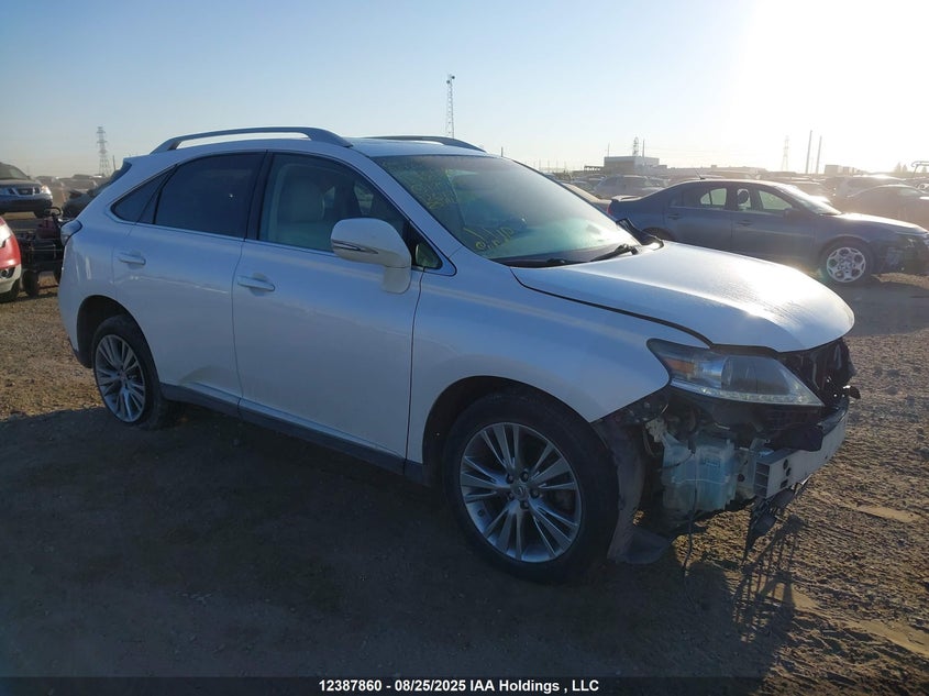 2T2BK1BA0DC175497 2013 Lexus Rx 350/Base/F Sport auction photo 1