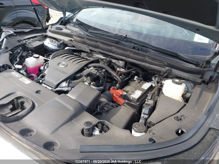 2T2BAMCA5RC074675 2024 LEXUS RX photo no. 10
