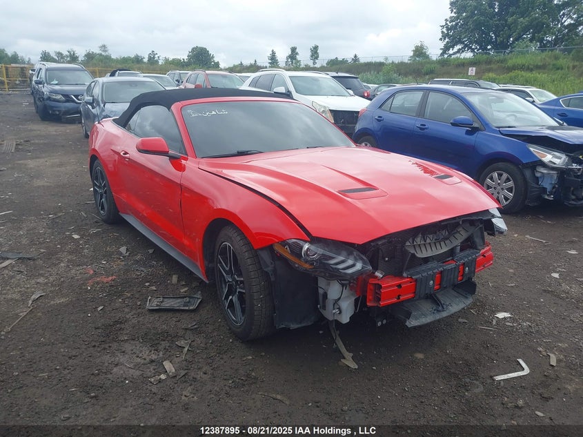 1FATP8UH7K5171055 2019 Ford Mustang Convertible auction photo 1