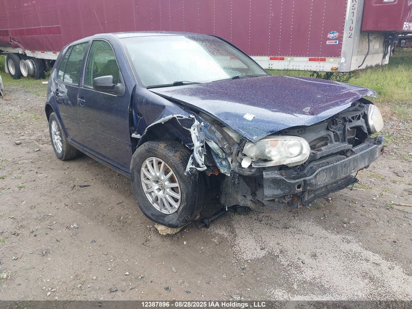 9BWGR21J864008796 2006 Volkswagen Golf Gls Tdi auction photo 1