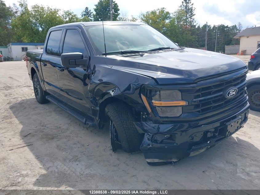 1FTEW3LP7SKE07044 2025 FORD F-150 photo no. 6