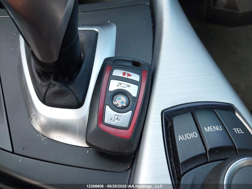 2015 BMW 228I xDrive VIN: WBA1F7C59FVX96131 Lot: 12388606