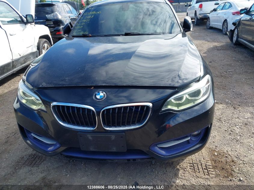 2015 BMW 228I xDrive VIN: WBA1F7C59FVX96131 Lot: 12388606