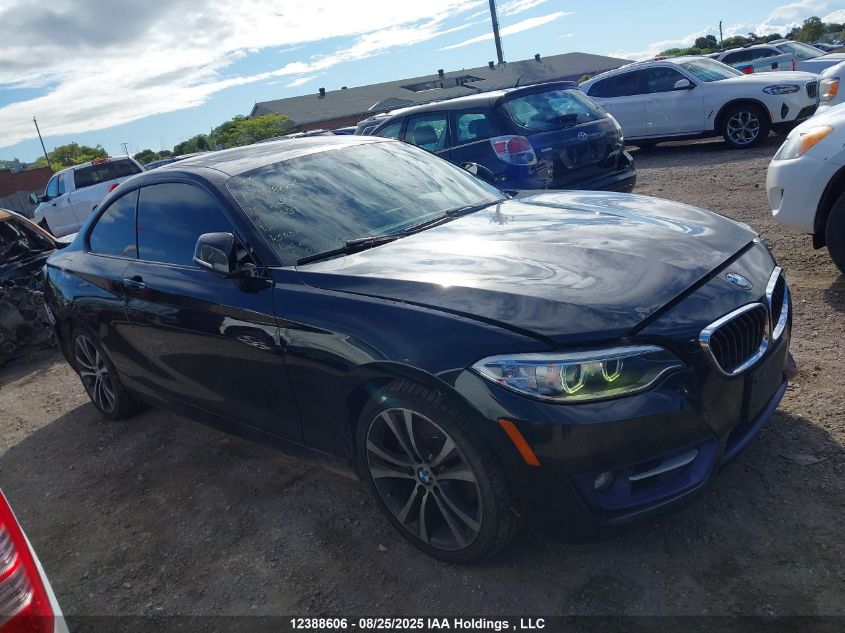 2015 BMW 228I xDrive VIN: WBA1F7C59FVX96131 Lot: 12388606