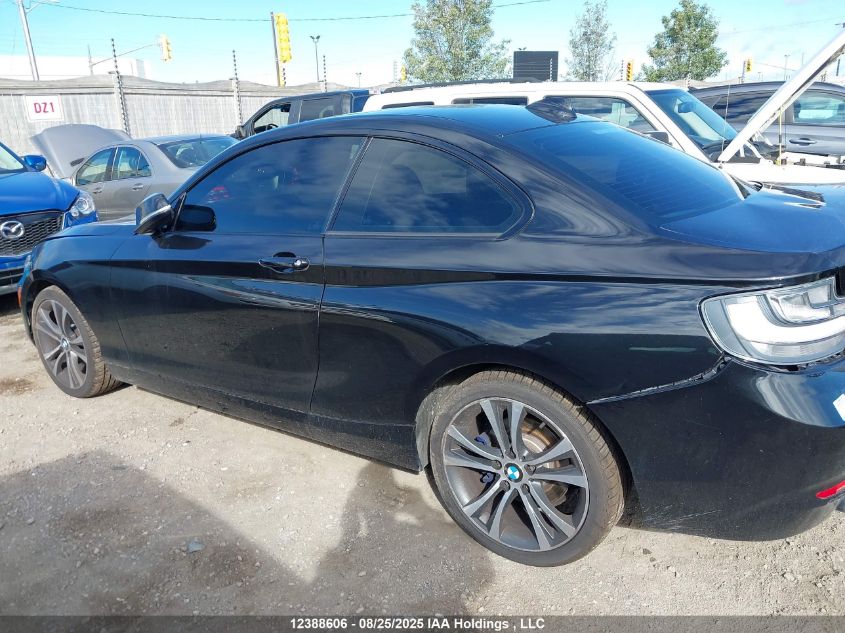 2015 BMW 228I xDrive VIN: WBA1F7C59FVX96131 Lot: 12388606