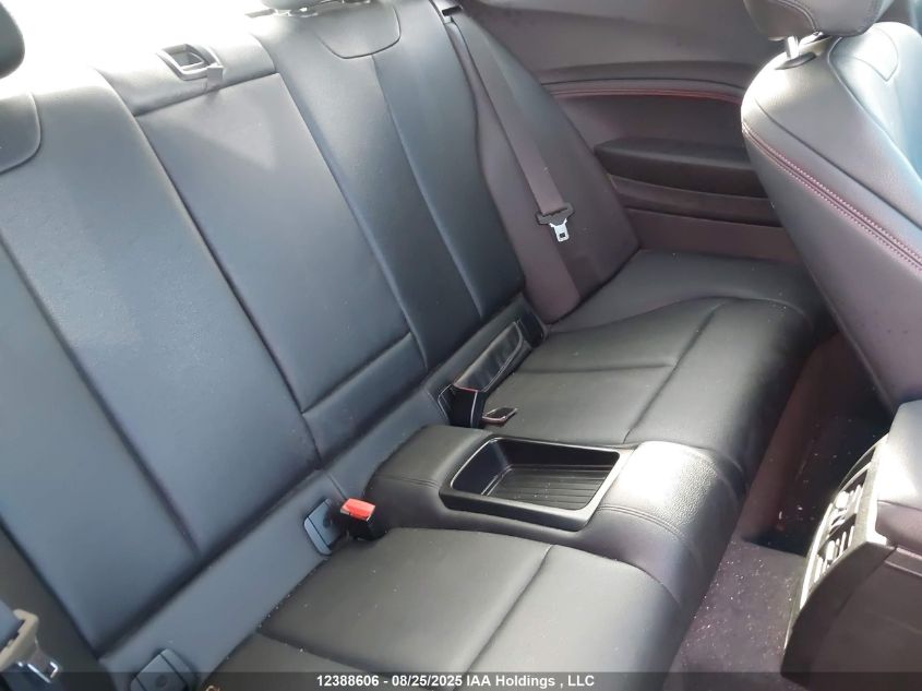 2015 BMW 228I xDrive VIN: WBA1F7C59FVX96131 Lot: 12388606