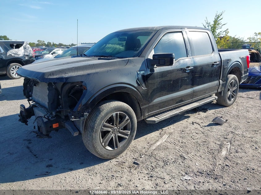 1FTEW1EP4NKD78009 2022 FORD F-150 photo no. 2