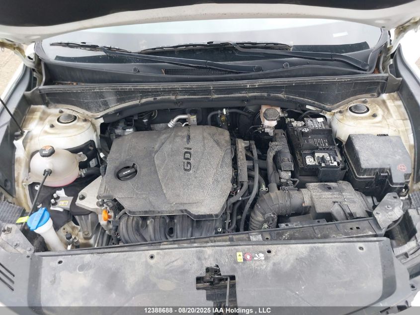 2023 Kia Sorento Lx VIN: 5XYRGDLC4PG181494 Lot: 12388688