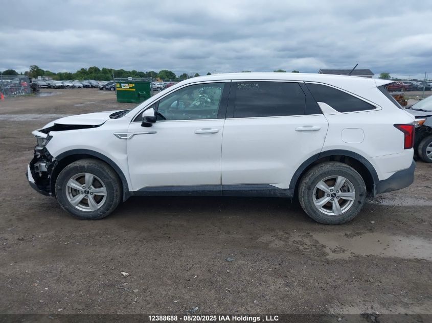 2023 Kia Sorento Lx VIN: 5XYRGDLC4PG181494 Lot: 12388688