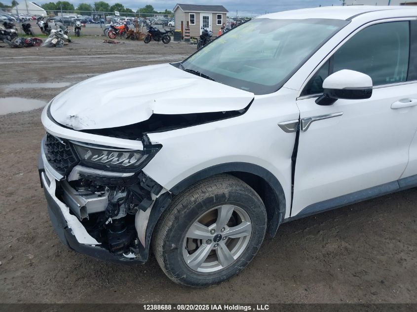 2023 Kia Sorento Lx VIN: 5XYRGDLC4PG181494 Lot: 12388688