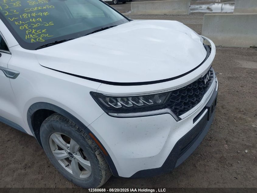 2023 Kia Sorento Lx VIN: 5XYRGDLC4PG181494 Lot: 12388688