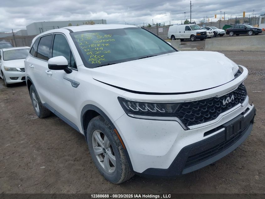 2023 Kia Sorento Lx VIN: 5XYRGDLC4PG181494 Lot: 12388688