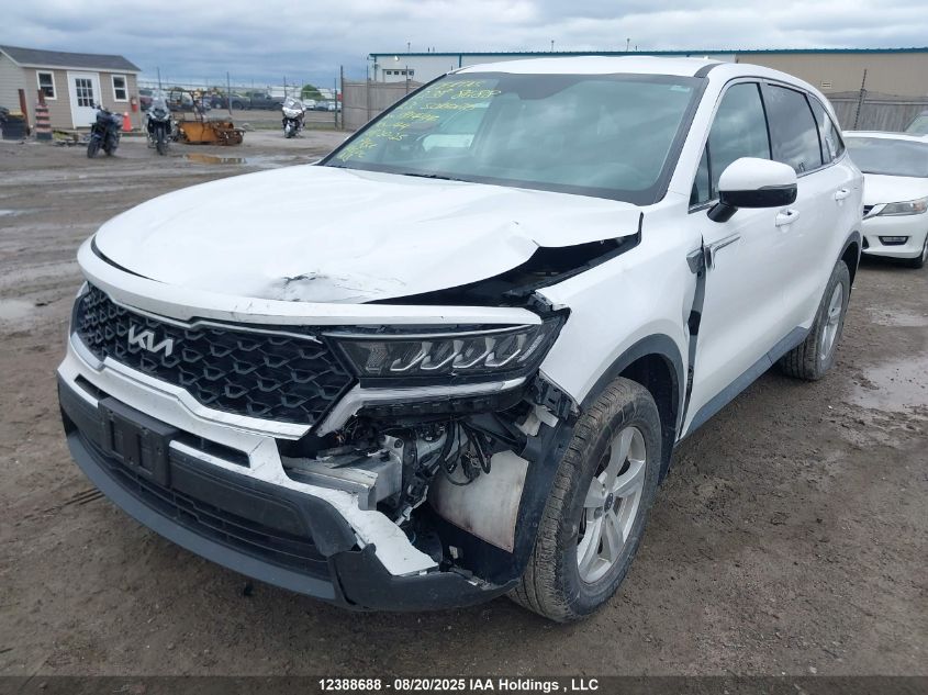 2023 Kia Sorento Lx VIN: 5XYRGDLC4PG181494 Lot: 12388688