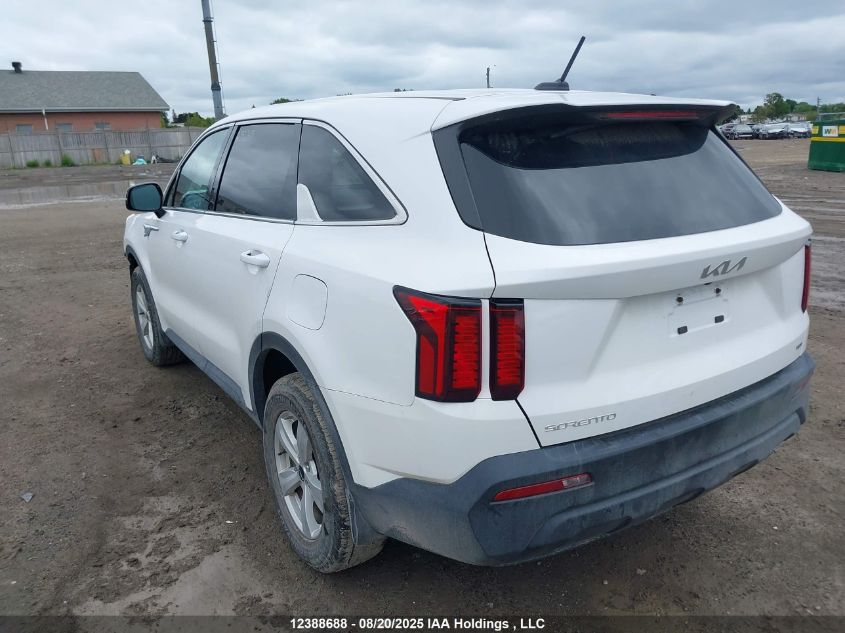 2023 Kia Sorento Lx VIN: 5XYRGDLC4PG181494 Lot: 12388688