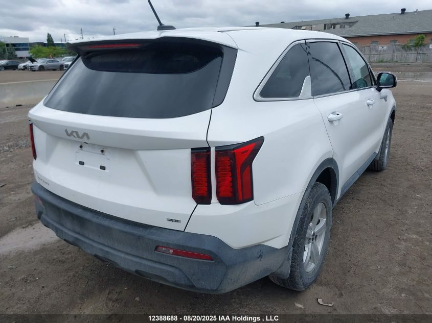 2023 Kia Sorento Lx VIN: 5XYRGDLC4PG181494 Lot: 12388688