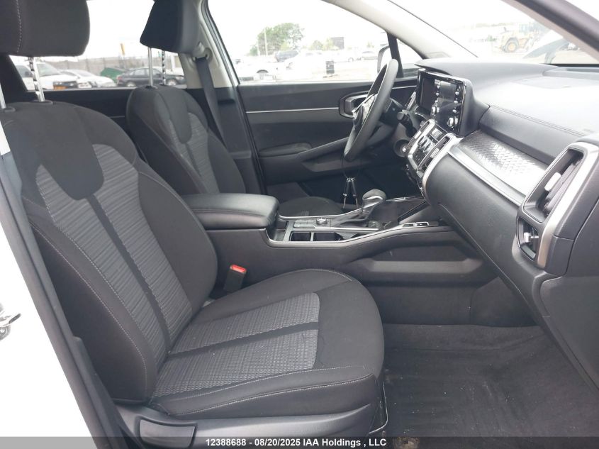 2023 Kia Sorento Lx VIN: 5XYRGDLC4PG181494 Lot: 12388688