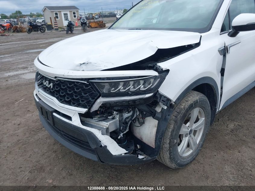2023 Kia Sorento Lx VIN: 5XYRGDLC4PG181494 Lot: 12388688