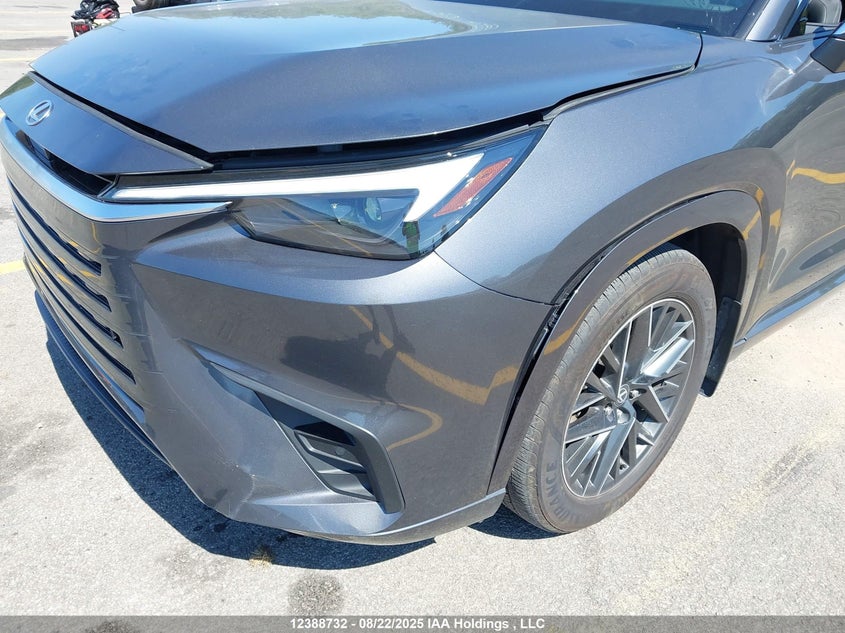 2024 Lexus Tx 350 VIN: 5TDAAAB6XRS009663 Lot: 12388732