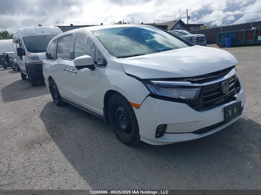 5FNRL6H61NB500610 2022 Honda Odyssey Exl auction photo 1
