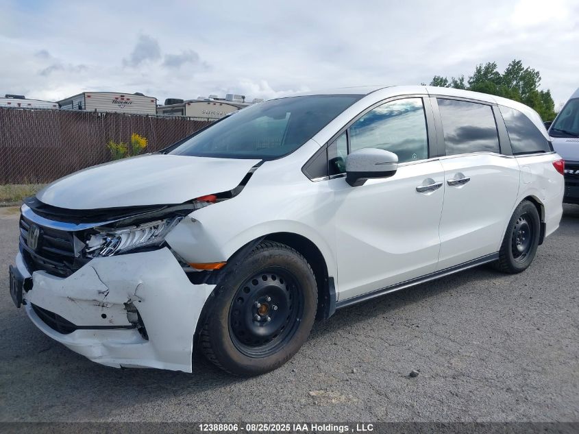 2022 Honda Odyssey Exl VIN: 5FNRL6H61NB500610 Lot: 12388806