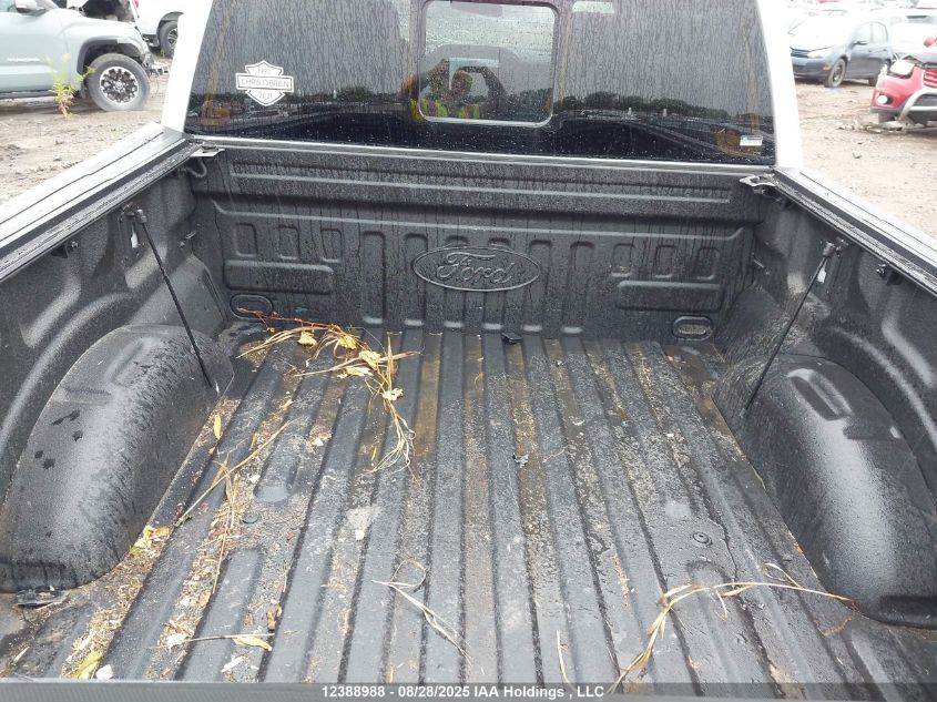 2023 Ford F-150 Lariat VIN: 1FTFW1E83PFD04573 Lot: 12388988