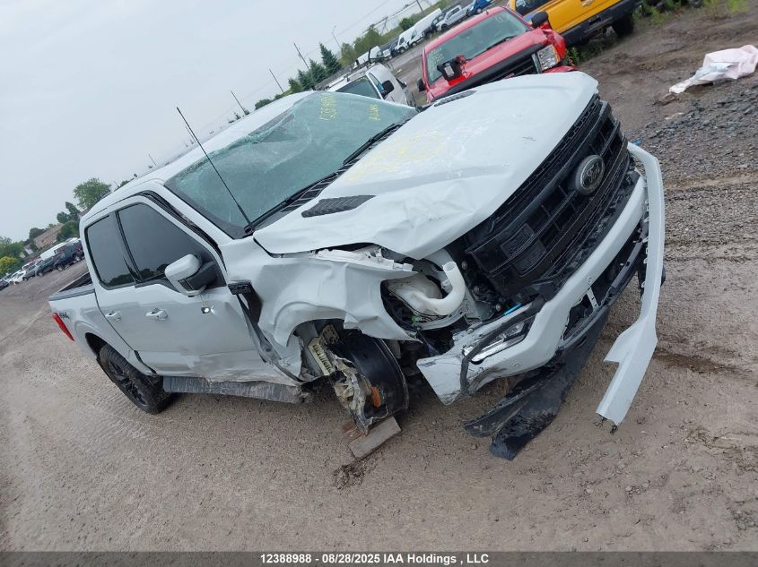 2023 Ford F-150 Lariat VIN: 1FTFW1E83PFD04573 Lot: 12388988