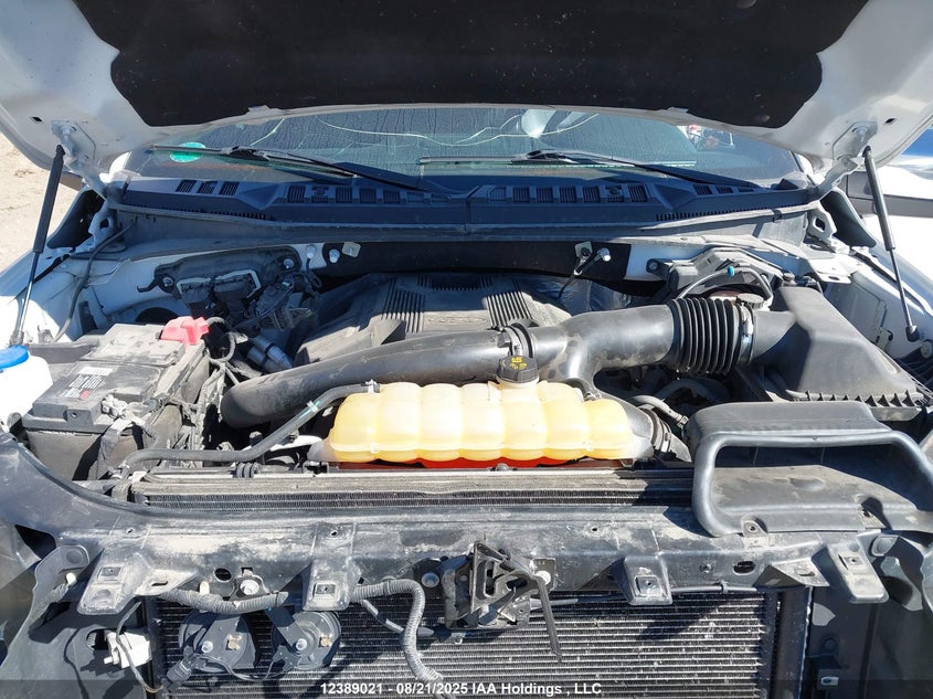 1FTEW1EG0JFA74338 2018 FORD F-150 photo no. 10