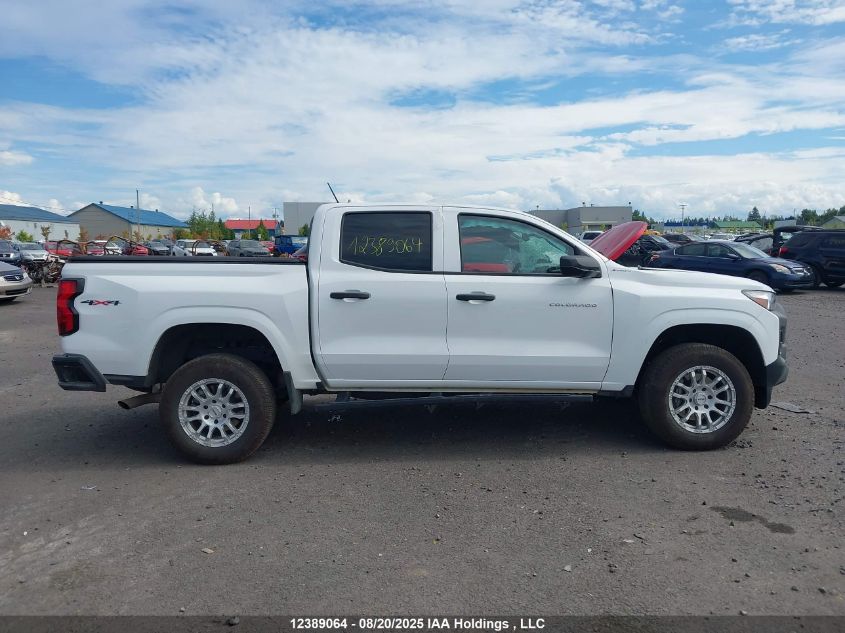 2025 Chevrolet Colorado Wt 4Wd VIN: 1GCPTBEK3S1116639 Lot: 12389064