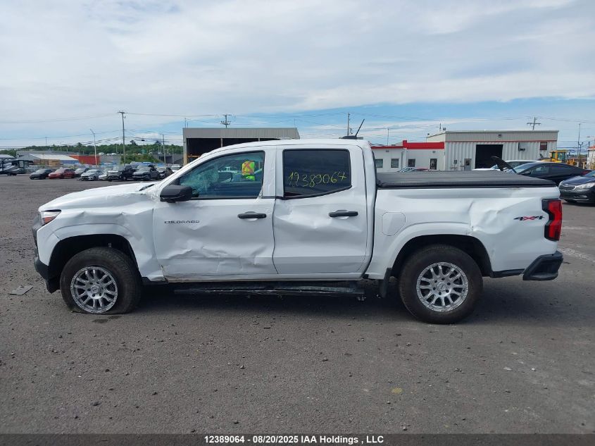 2025 Chevrolet Colorado Wt 4Wd VIN: 1GCPTBEK3S1116639 Lot: 12389064