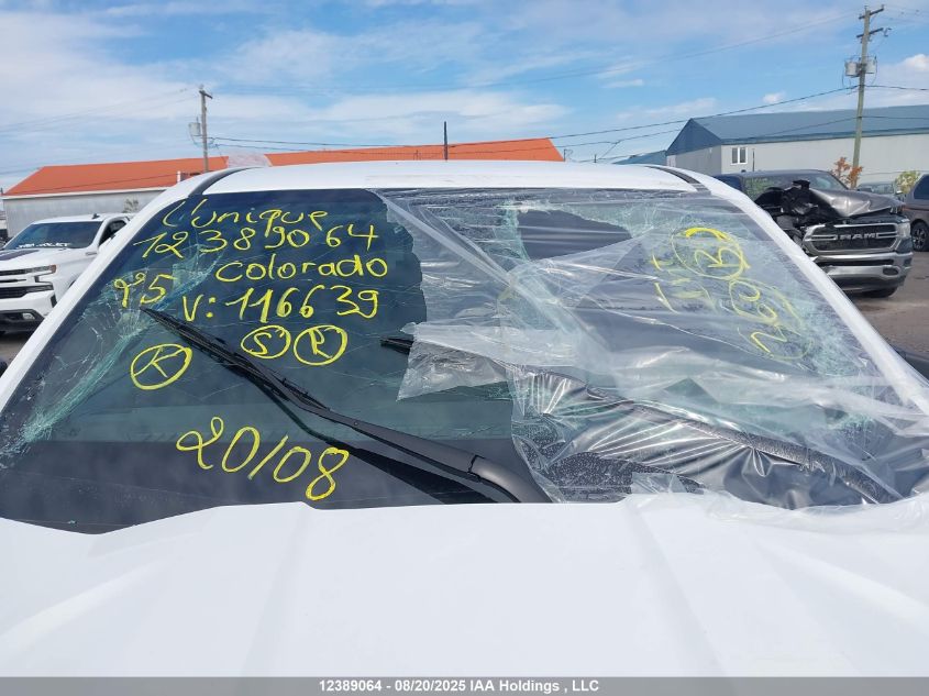 2025 Chevrolet Colorado Wt 4Wd VIN: 1GCPTBEK3S1116639 Lot: 12389064