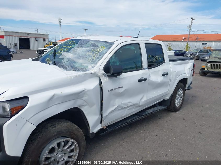2025 Chevrolet Colorado Wt 4Wd VIN: 1GCPTBEK3S1116639 Lot: 12389064