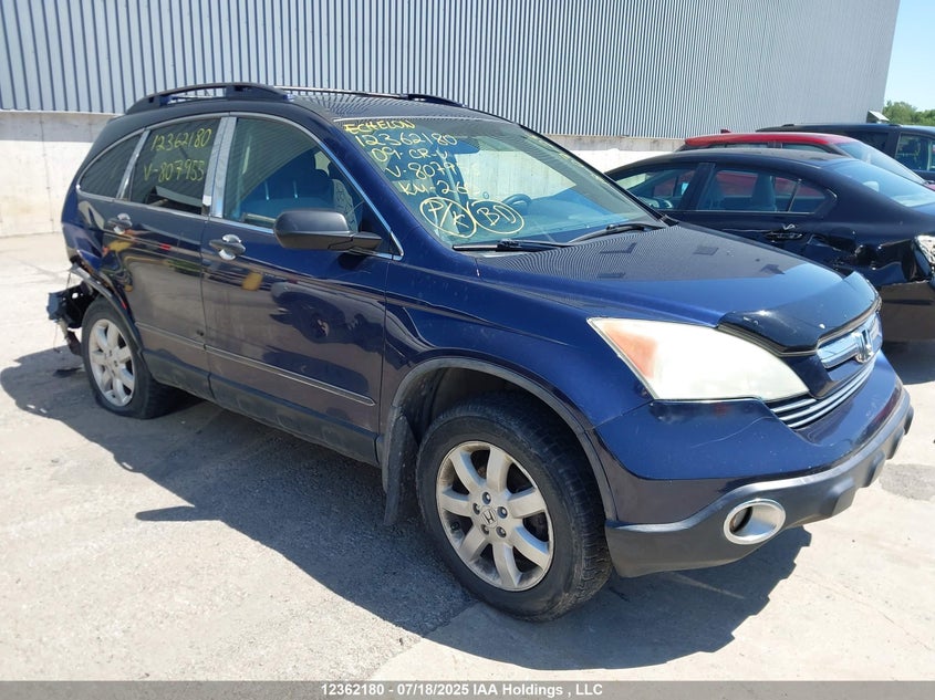 5J6RE485X9L807955 2009 Honda Cr-V Ex auction photo 1