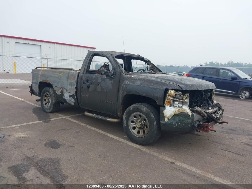 2010 Chevrolet Silverado 1500
