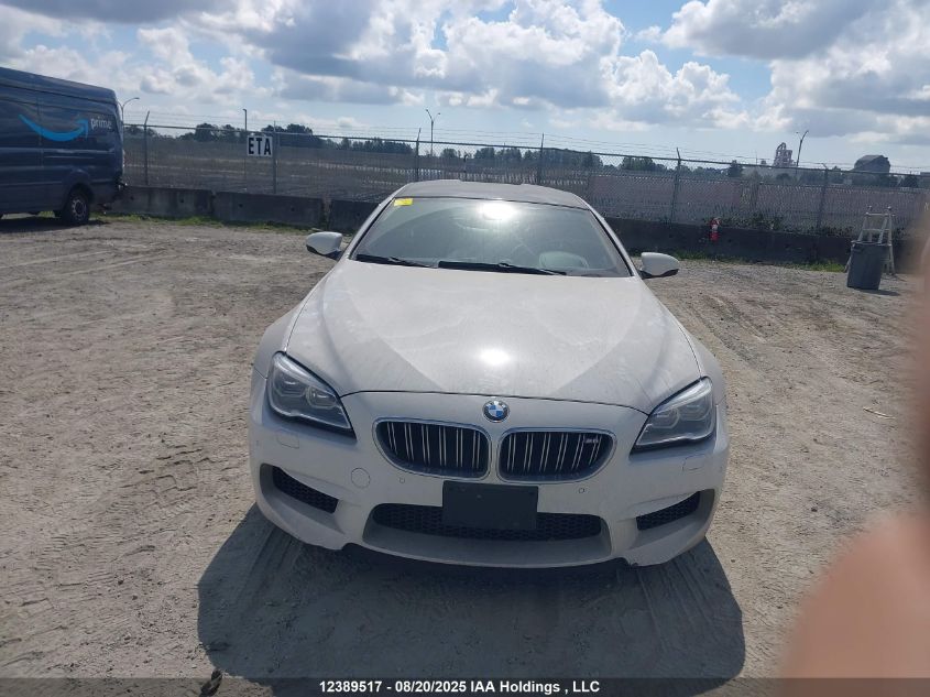 2017 BMW M6 Gran Coupe Gran Coupe VIN: WBS6E9C30HG437563 Lot: 12389517