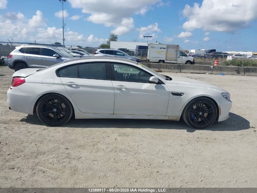 2017 BMW M6 Gran Coupe Gran Coupe VIN: WBS6E9C30HG437563 Lot: 12389517