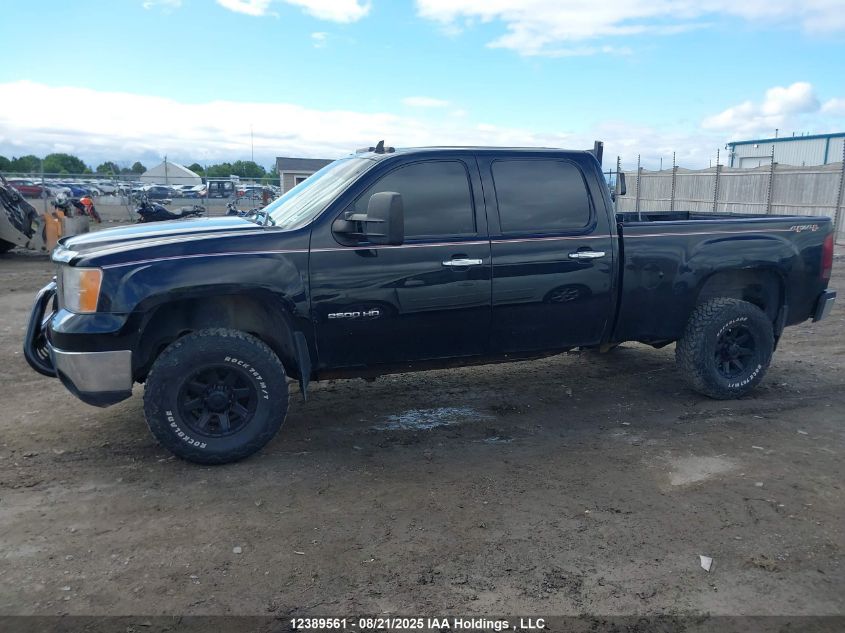 2010 GMC Sierra K2500 Sle VIN: 1GT4K0BG2AF149577 Lot: 12389561