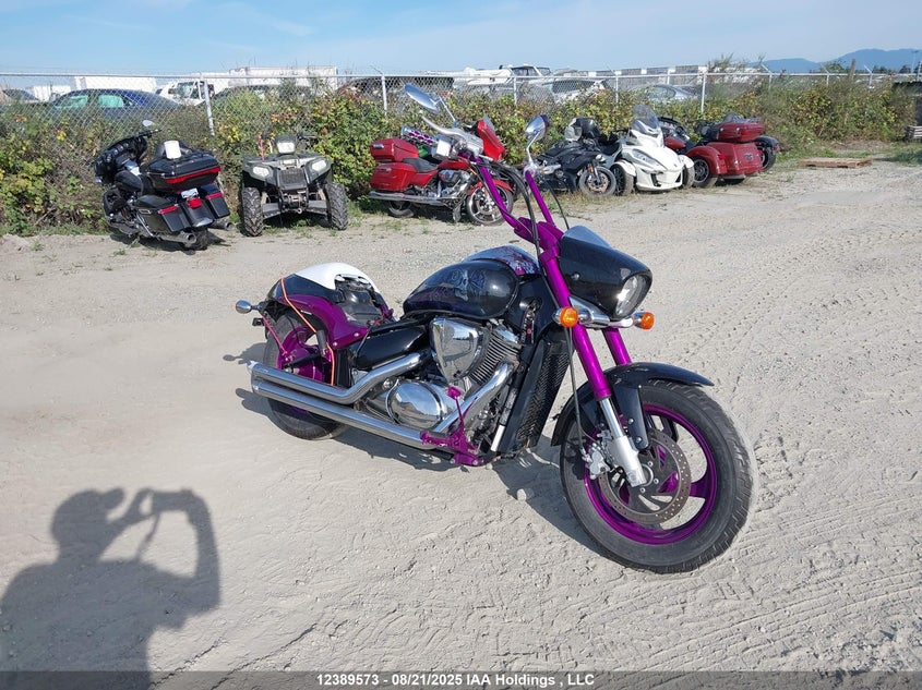JS1VS56A4D2101091 2013 Suzuki Vz800 auction photo 1