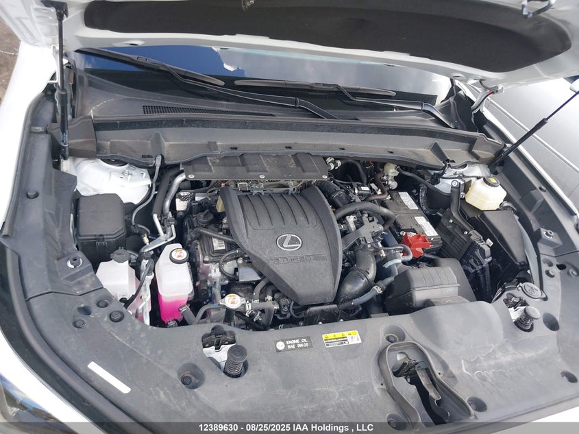 5TDAAAB61RS018221 2024 LEXUS TX photo no. 10