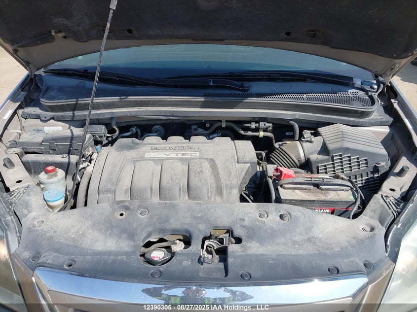 2007 Honda Odyssey Ex VIN: 5FNRL38447B506336 Lot: 12390305