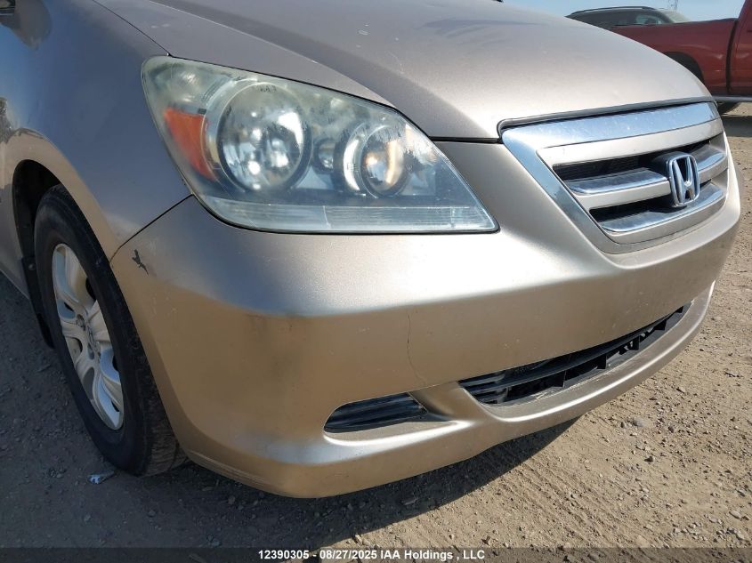 2007 Honda Odyssey Ex VIN: 5FNRL38447B506336 Lot: 12390305