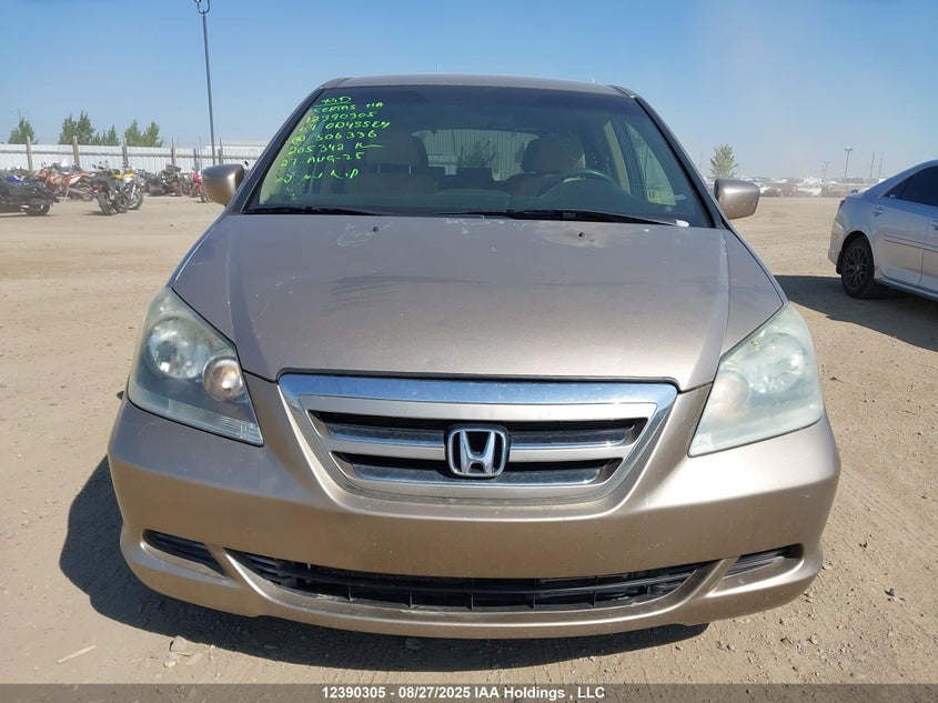 2007 Honda Odyssey Ex VIN: 5FNRL38447B506336 Lot: 12390305